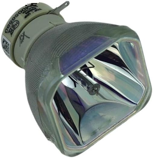 法螺貝・山伏・修験者・金峯山・羽黒山・縁起物・魔除・戦国武将